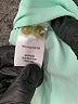 Assorted Brands 100% Polyester Green Short Sleeve Blouse Size S - photo 8