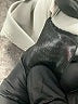 Adiva Silver Short Sleeve Blouse Size M - photo 9