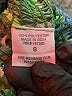 Assorted Brands 100% Polyester Green Tube Top Size S - photo 8