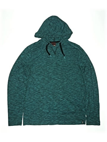 Tony Hawk Pullover Hoodie (view 1)