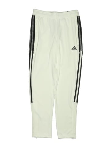 Adidas Track Pants (view 1)
