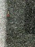 Hollister Graphic Blue Jeans Size 13 - photo 10