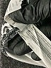 Balance Collection Animal Print Ivory Shorts Size L - photo 4
