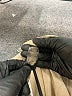 Worthington Tan Casual Pants Size 14 - photo 5