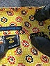 Superdry Yellow Kimono Size 4 - photo 7