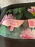 Ted Baker London 100% Polyester Floral Green 3/4 Sleeve Blouse Size 6 (2) - photo 7