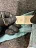 The Great. 100% Cotton Teal Sweatshirt Size Med (2) - photo 8