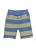 Tea 100% Cotton Stripes Blue Board Shorts Size 3T - photo 1