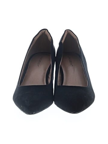Lane Bryant Flats (view 2)
