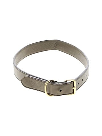 Coach Belt (view 1)