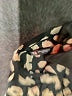 Zara Animal Print Black Long Sleeve Blouse Size XS - photo 7
