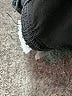 Madewell Black Jeans Size 30 waist (tall) - photo 8
