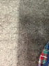 Lands' End 100% Cotton Plaid Blue Long Sleeve Button-Down Shirt Size S (kids) - photo 4