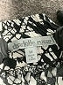 Charlotte Russe 100% Rayon Print Ivory Shorts Size M - photo 3