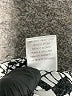 Charlotte Russe 100% Rayon Print Ivory Shorts Size M - photo 5