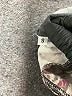 Assorted Brands Graphic Gray Casual Skirt Size S - photo 5