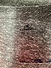 O'Neill Tweed Gray Short Sleeve T-Shirt Size XS - photo 7