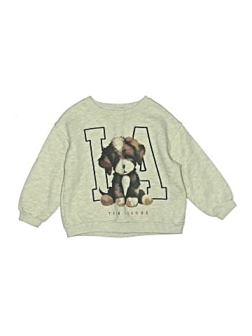 Zara Sweatshirt (view 1)