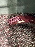 PrAna Burgundy Jacket Size S - photo 6