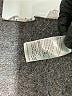 Zenergy by Chico's Solid Green Raincoat Size Lg (2) - photo 7