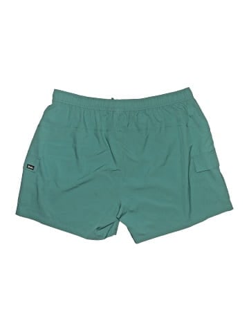 Willit Board Shorts (view 2)