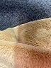 Altar'd State Tan Coat Size S - photo 6