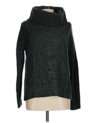 Pinque Turtleneck Sweater (view 1)