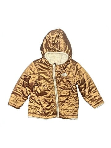 The North Face Snow Jacket (view 1)