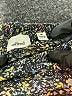 Wilfred Black Sleeveless Blouse Size M - photo 7