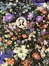 Lululemon Athletica Print Purple Active Pants Size 12 (estimated) - photo 7