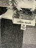 White Birch 100% Polyester Tweed Silver Long Sleeve Blouse Size 1X - photo 7
