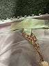 LoveShackFancy 100% Polyester Silver Purple Sleeveless Blouse Size 2 - photo 7