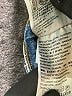 Levi's Blue Denim Shorts Size 26 waist - photo 4
