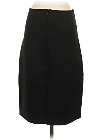 Everlane Formal Skirt (view 2)