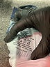 Ann Taylor Blue Jeans Size 2 - photo 5