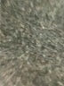 On 34th Solid Ivory Shorts Size 14 - photo 4