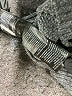 White House Black Market Gray Pullover Sweater Size XS - photo 10