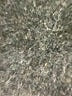 Zara Ivory 3/4 Sleeve Blouse Size S - photo 8