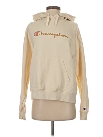Champion Pullover Hoodie (view 1)