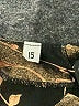 Unbranded Print Brown Cocktail Dress Size 15 - photo 7