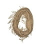 Steve Madden Tan Scarf One size - photo 1