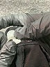 Assorted Brands Black Dress Pants Size 10 - photo 9
