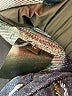 The Fold Tweed Blue Jeans Size 10 - photo 8