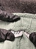 Gap Solid Green Shorts Size L - photo 3
