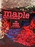Maple Paisley Black Casual Skirt Size XS - photo 4