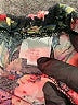 Exte Floral Black Shorts Size XS - photo 3