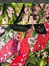 Investments Floral Pink Casual Pants Size M - photo 7