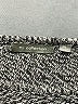 NY Collection 100% Acrylic Gray Poncho Size XL - photo 4