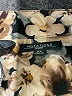 Notations Print Brown Jacket Size 3X - photo 6