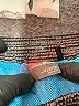 Eddie Bauer Gray Board Shorts Size 10 - 12 - photo 3